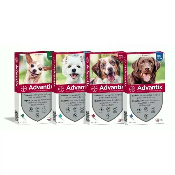 Advantix Bayer Per Cani 4 Fialette Antipulci Antizecche Zanzare + Omaggio