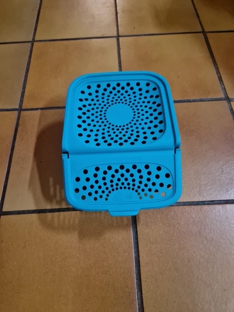 TUPPERWARE - BOÎTE à oignon en forme... d'oignon ! EUR 4,00 - PicClick FR