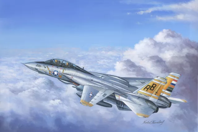 Hobby Boss 1/48 F-14A Tomcat