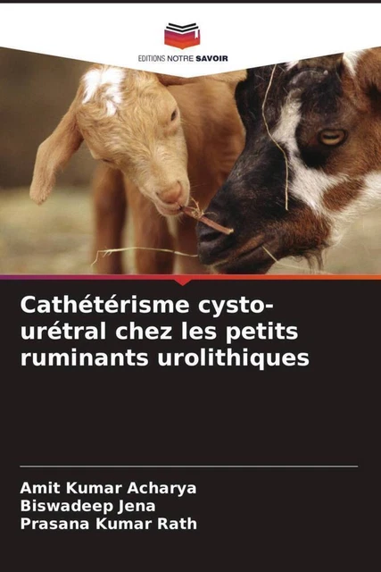 Simulateur De Cathétérisme Urétral Féminin - Modèle D'entraînement Médical, Pour Améliorer Les Compétences
