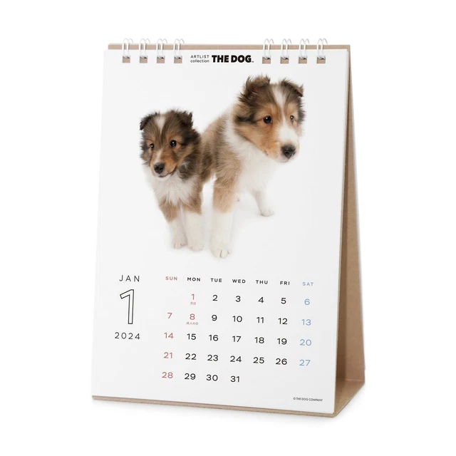 THE DOG 2024 Calendar Desktop Size (Shetland Sheepdog) With Stickers £