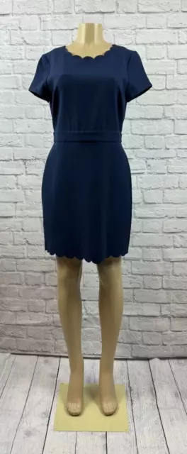 Maison Jules Womens Scalloped Sheath Dress Navy Size 10