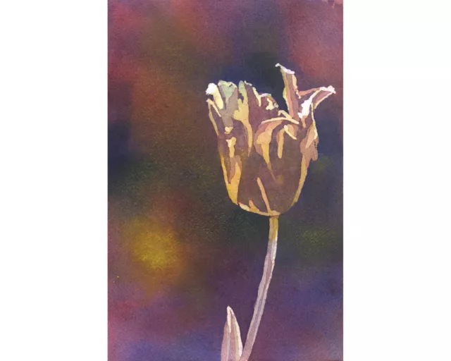 Floral watercolor rose colorful flower home decor landscape giclee art (print)