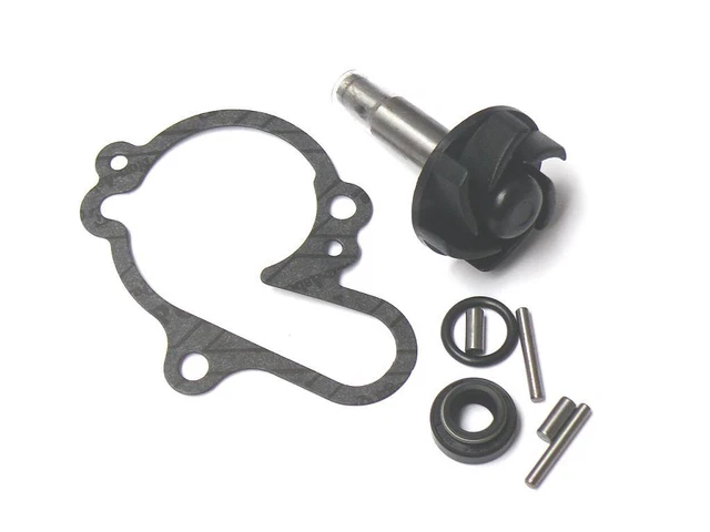 Kit Réparation Pompe à Eau Piaggio Kit De Réparation Pour Pompe à Eau De Scooter Piaggio X9 125 4 Temps Réparer Fuite Eau Moteur 4 Temps