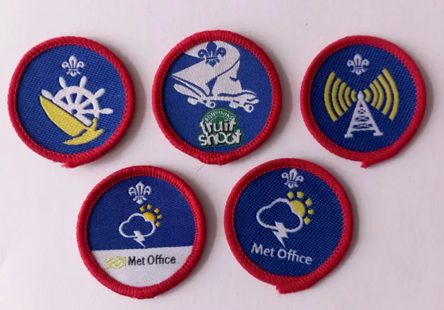 Scout Activity Badges post 2002 old Fleur de Lis - new old Scout Shop Stock