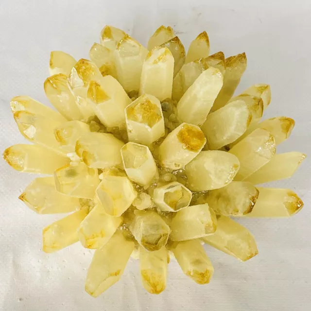 New Find Yellow Phantom Quartz Crystal Cluster Mineral Specimen Healing 3886G