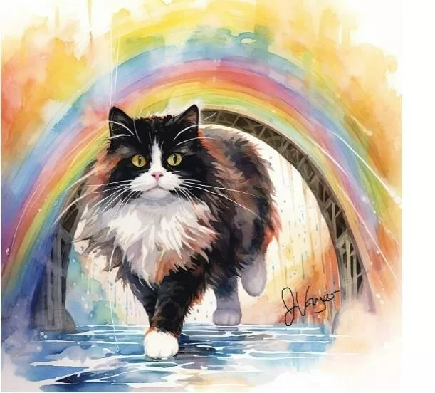 Watercolor Tuxedo Cat Rainbow Bridge Painting Art Print 8x11 inch