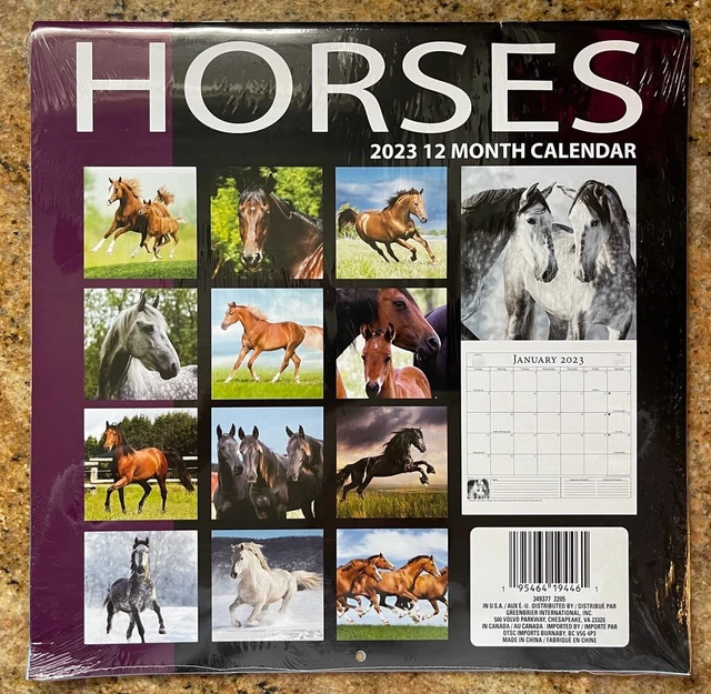 CALENDARS SOME 16 months Peppa Tonka My Lil Pony Mr Potato Head Sesame