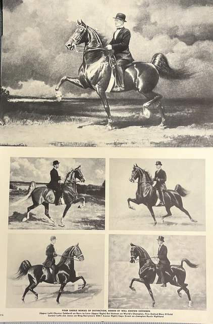 2 Prints Kings Genius 9500 George Ford Morris Portraiture Of Horses See Photos
