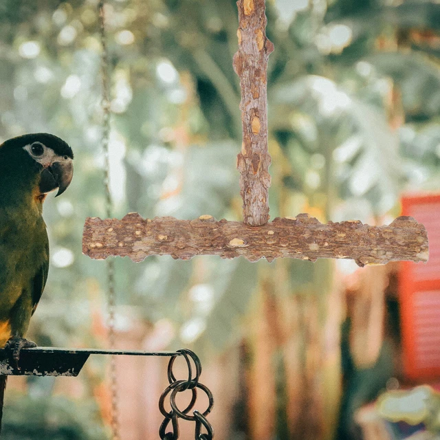 Barras de asiento para jaulas de pájaros columpio de loros juguete masticar accesorios