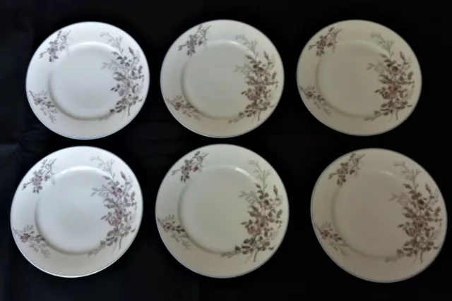 Serie de Seis Platos en Porcelana Paris Viejo Siglo XIX Decoración Floral