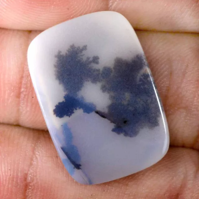 15.15 Cts 100% Natural Scenic Dendritic Agate Tree Cabochon Loose Gemstone TS61