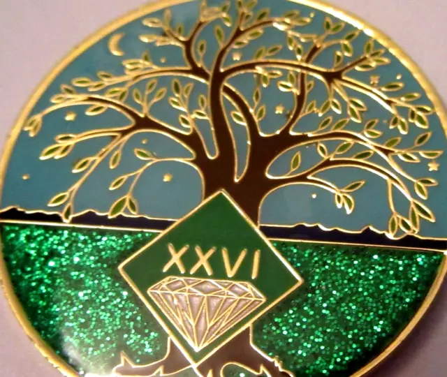 Narcóticos Anónimos NA Árbol Verde 26 Años Recuperación Oración Medallón Dorado Negro