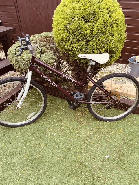 Avigo ladies bike hotsell