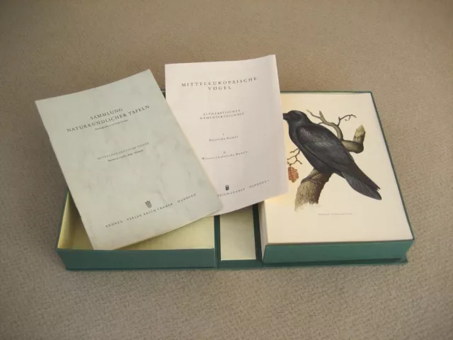 Sammlung naturkundlicher Tafeln: Mitteleuropäische Vögel 1. Auflage 1962