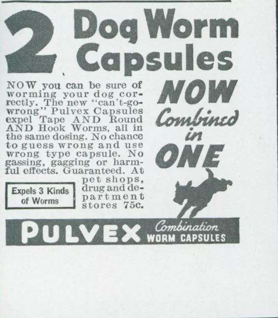1936 Pulvex Dog Worm Capsules Combination 3 Kinds Worms Vintage Print Ad GH1
