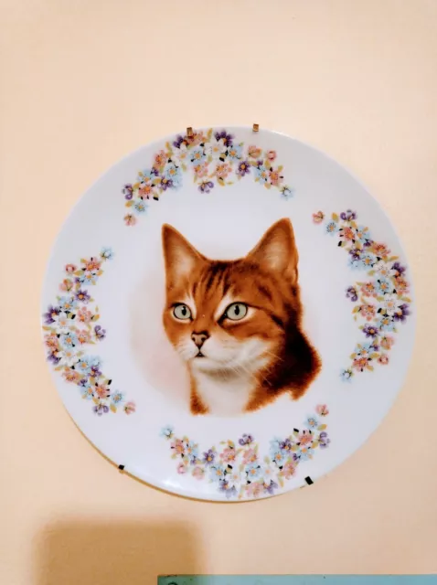 Limoges assiette Décorative en porcelaine  chat