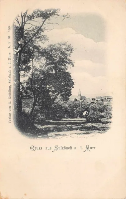 Rarität Echt Foto AK vor 1914 Gruss aus Sulzbach an der Murr Ortsansicht