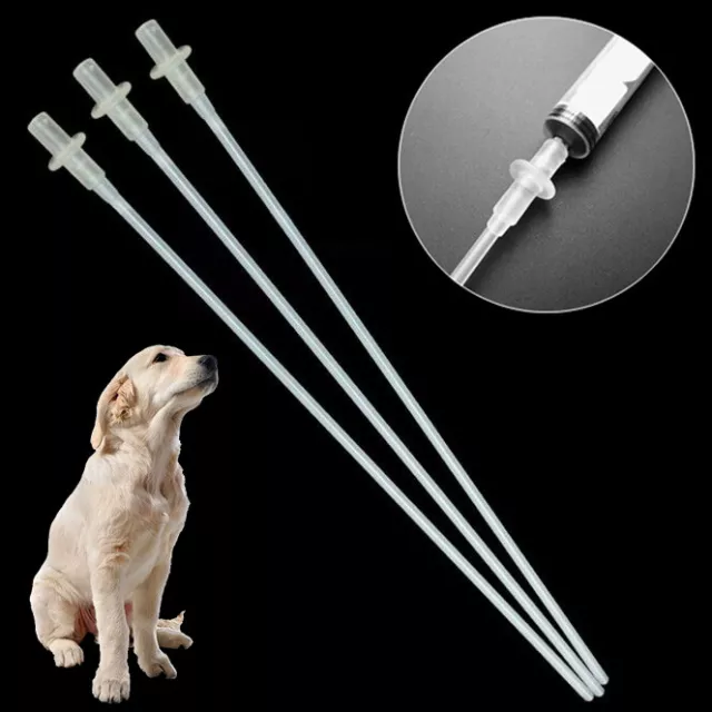 10/20PCS Canine Dog Goat Sheep Artificial Insemination Breed Whelp Catheter Rod