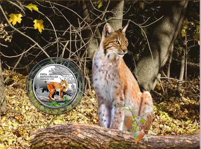 2023 #02 Ukraine Coin 5 Hryven Eurasian Lynx IN SOUVENIR PACKAGING