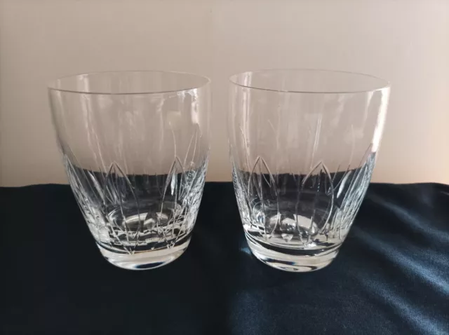 Vintage - Webb Crystal - Water Glass x 2