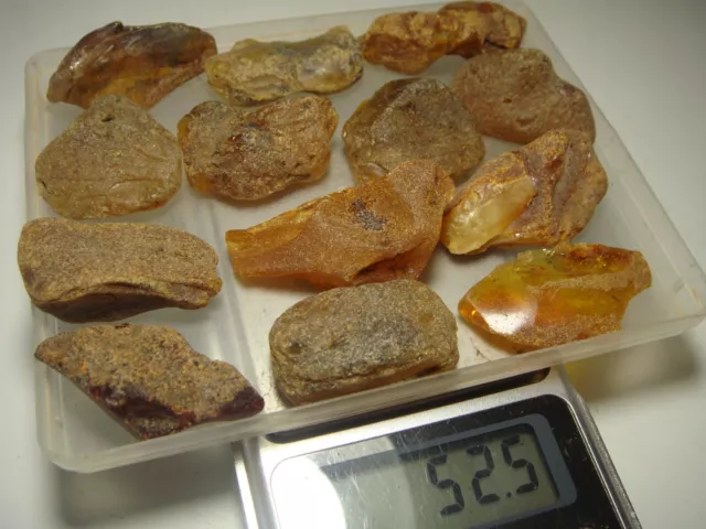 AMBER / raw baltic stones bernstein natural bursztyn baltycki genuine 琥珀 (e672