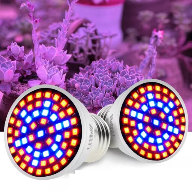 Versatile 200 LED Grow Light Ideal for Tomatoes Chili and Potted Flowers