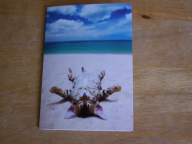 15 Cute Tabby Kitten Tanning On The Beach Blank Note Cards NIB