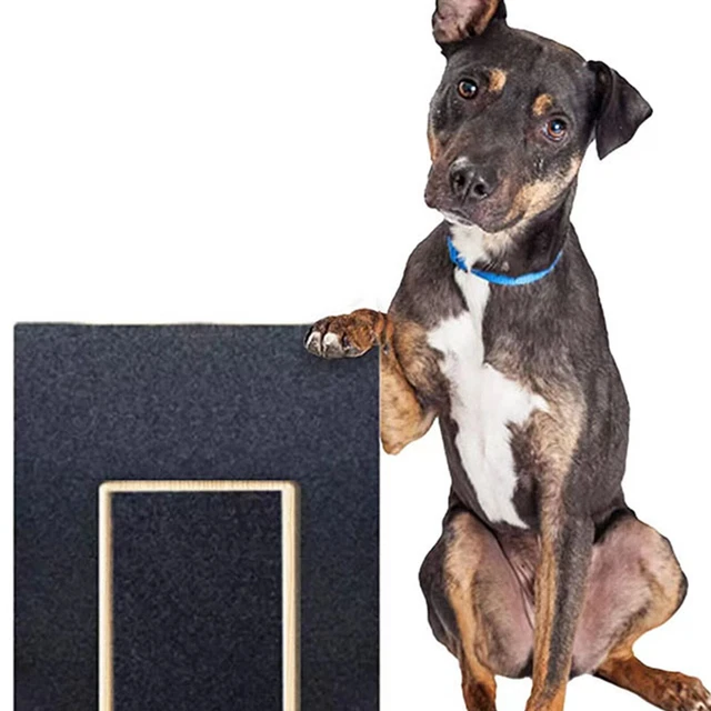 DOG NAIL FILE for Brand Dog Paw Nail Scratch Pad with Food Box 29.69