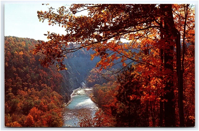 Genesee River Gorge Letchworth State Park Castile New York Postcard