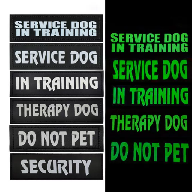 2x Glow-in-the-Dark Service Dog In Training Hook & Loop Patches Pet Vest Badges