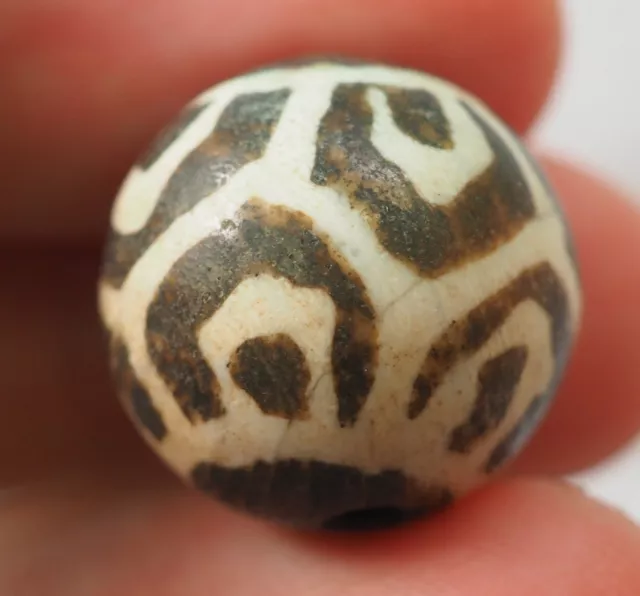 Rare Ancient Dzi Pumtek Opalised RARE Pattern LOTUS Pattern  Bead/Tircul  Bead