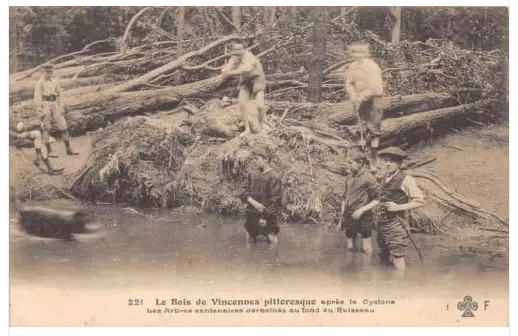 Cpa 94 Woods De Vincennes After The Cyclone The Centenary Trees Deracines