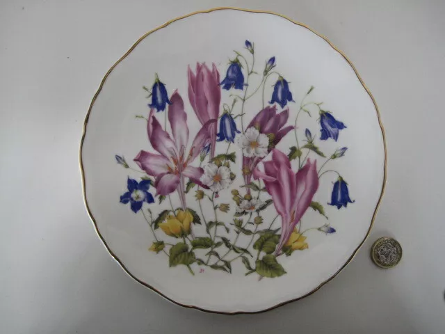 Royal Albert Collectors China Plate Britains Wild Flowers Meadowland Crocuses