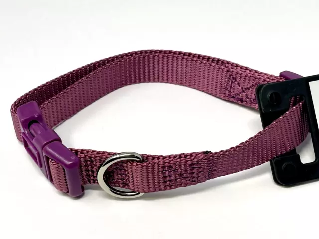 Zack & Zoey Dog Puppy Collar Nylon Adjustable Plum Purple 6-10" XS 3/8" wide