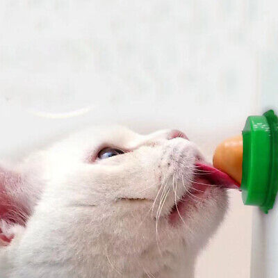 5 piezas Healthy Cat Nutrition Dulce Gato Snacks Gato Saludable Snack Ball Lata Fija-CJ