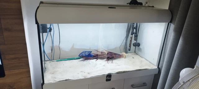 Fish tank with stand