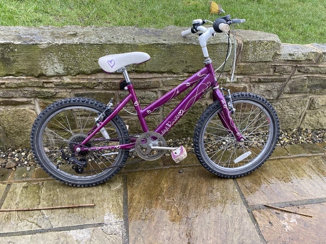 raleigh krush bike 20 inch