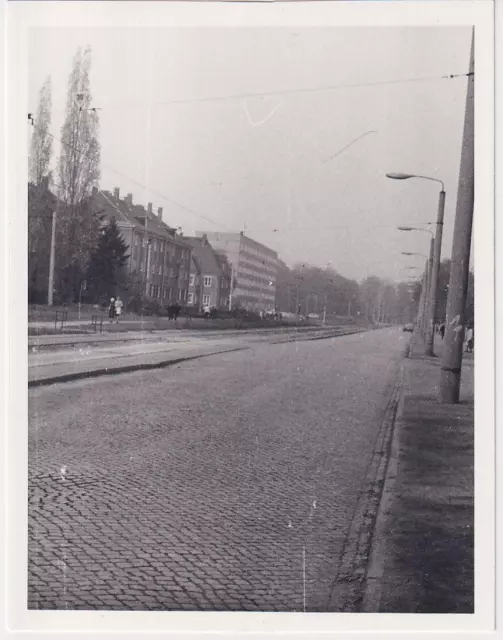 Foto DDR Dresden, Stübelallee Richtung Zwinglistraße, Gruna, 1982!