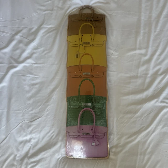 NEW RARE ALLTIMERS Birken Bag Cruiser Skateboard Deck Art Display