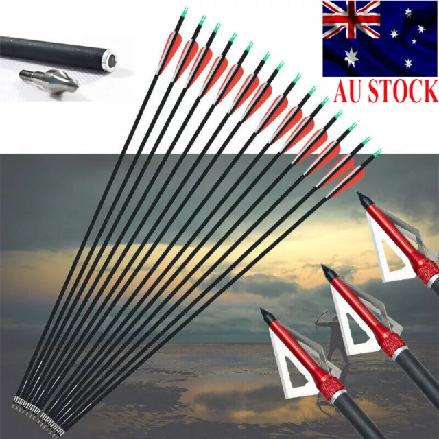 12X Carbon Arrows 30" Spine 500 OR Broadhead For Compound/Recurve Bow Hunting