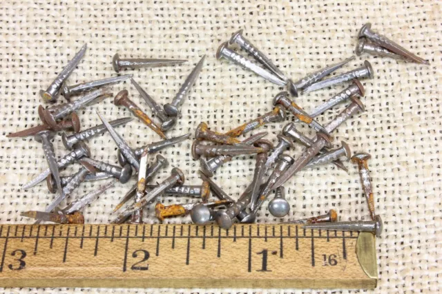 5/8” Old Square 50 Nails 1/8” Raised Round Domed Head Brads Shoe Tacks Vintage