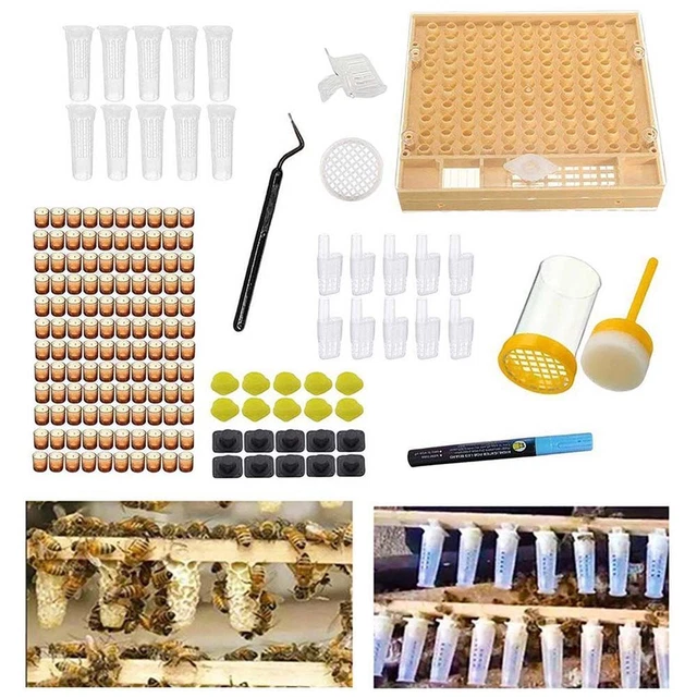 BOX CELL CAGE Bees Tools Beekeeping Tool Set Rearing Cup Kit Queen ...