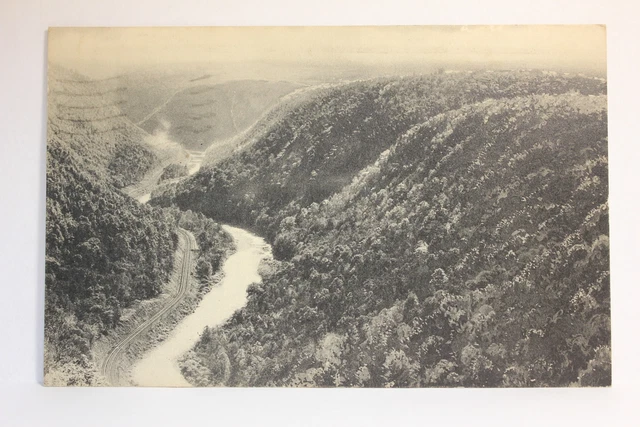 Postcard Pine Creek From State Park Harrison Lookout  PA Y17