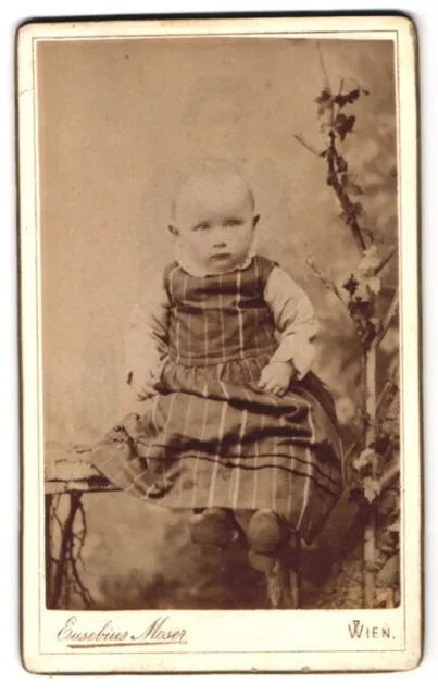 Fotografie Eusebius Moser, Wien, Gumpendorferstr. 161, Baby im dunklen Kleid au