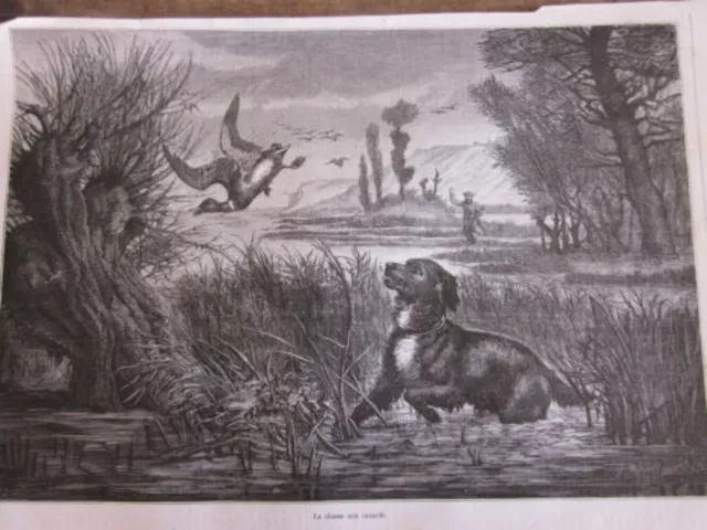 GRAVURE SUR BOIS 19 ème LA CHASSE AUX CANARDS