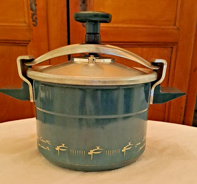 ANCIENNE COCOTTE MINUTE Seb Dans Son Jus 6 Litres 01 1993 EUR 25,00