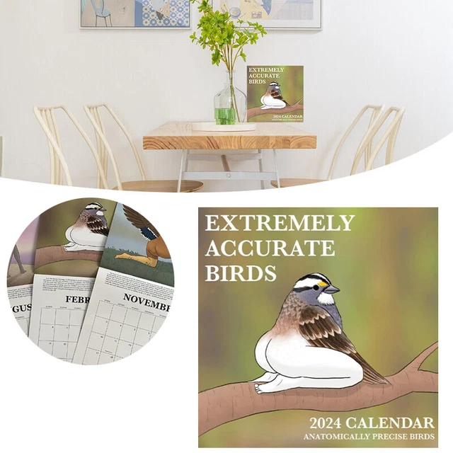 2024 CALENDAR OF EXTREMELY ACCURATE BIRDS 2024 Bird Calendar Wall