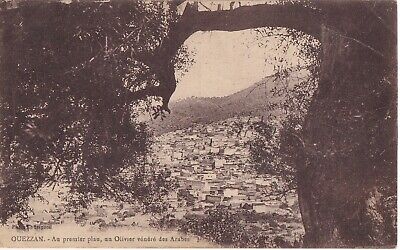 Carte postale ancienne postcard MAROC MOROCCO OUEZZAN vue olivier écrite 1926