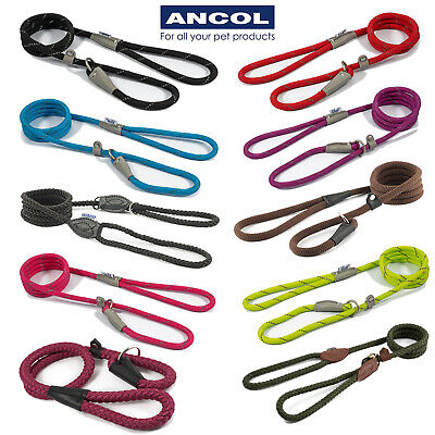 Ancol SLIP Lead Rope Dog Training Strong Nylon Show Halter Control Obedience